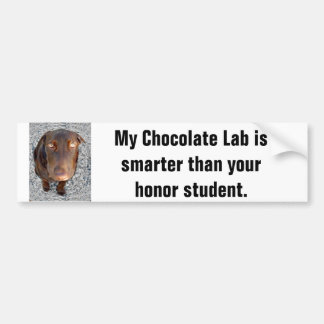 Meines Schokoladen-Labradors intelligenter als Ihr Autoaufkleber