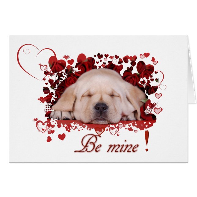 meins (Vorderseite (Horizontal))