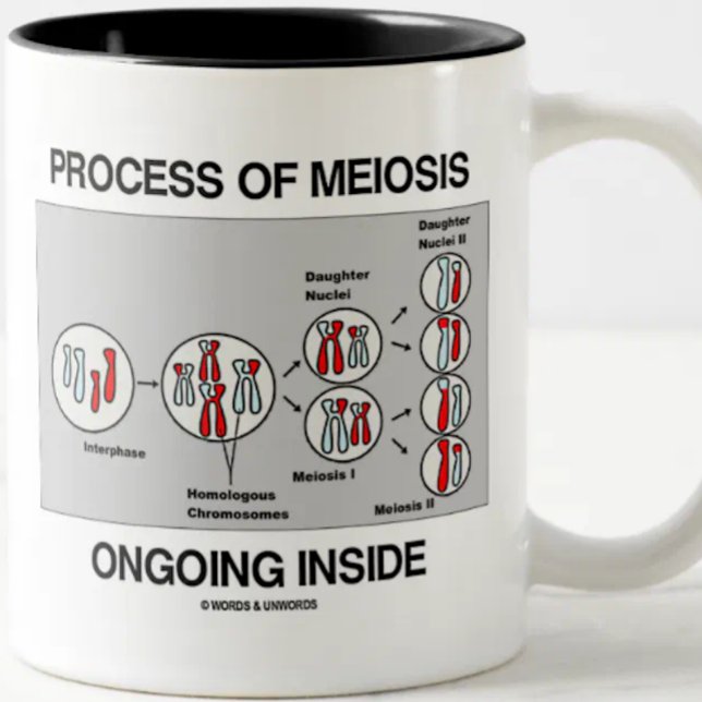 Meiose-Prozess im Inneren Zweifarbige Tasse (Mug for any biology major, biology teacher, or cell biologist featuring the process of meiosis)