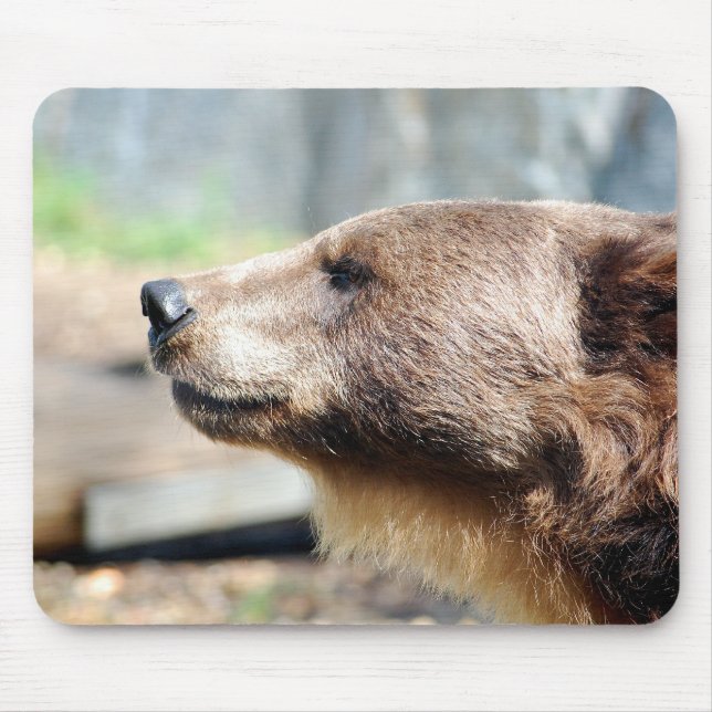 Meister Brauner Mousepad (Vorne)
