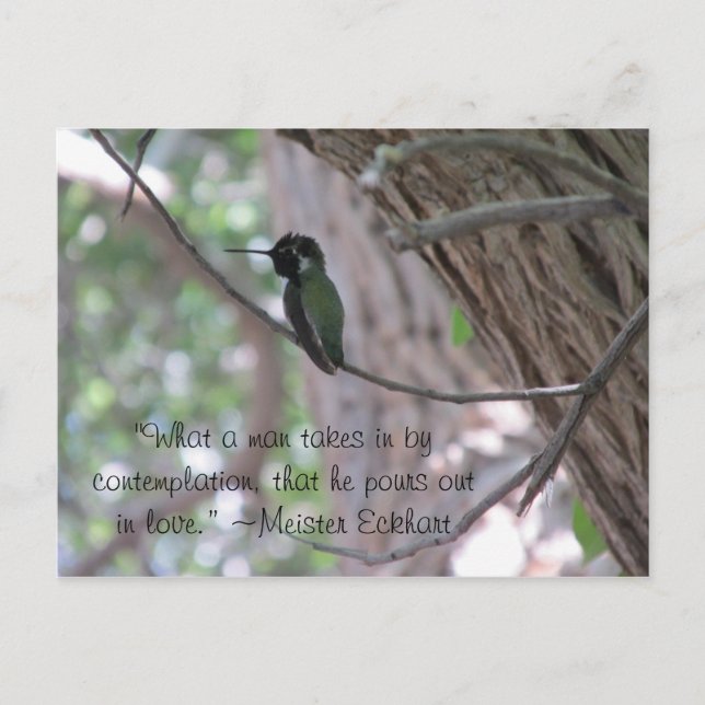 Meister Eckhart Zitat Hummingbird Postkarte (Vorderseite)