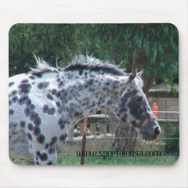 Meister lenkender Stallion Mousepad (Vorne)