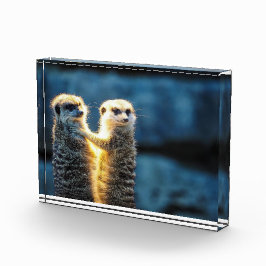 Mekka Fotoblock
