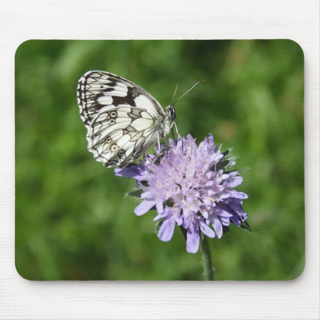 Melanargia Mousepad (Vorne)