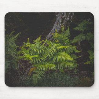 Melancholische grüne Naturthemen mit Farnen Mousepad