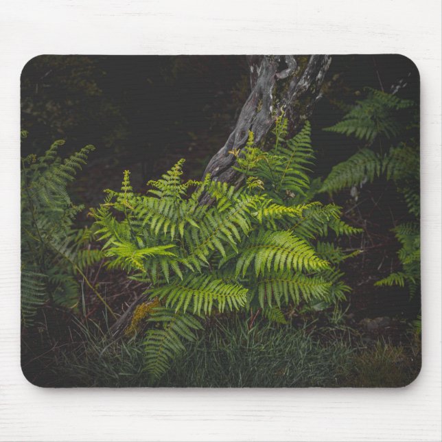 Melancholische grüne Naturthemen mit Farnen Mousepad (Vorne)