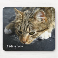[Melancholische Katze] du fehlst mir