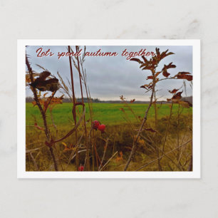 Melancholischer Spätherbst: Rote Hagebutten und gr Postkarte