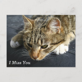 [Melancholy Cat] Ich vermisse dich Postkarte