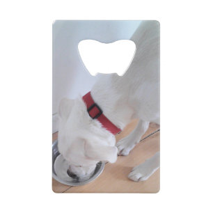 Mélange blanc Labrador Mélange Chien Chien Chien C