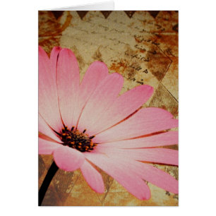 Mélange de fleurs roses