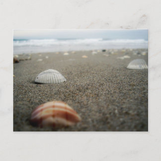 Melbourne Beach, Florida Postkarte