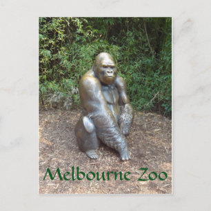 Melbourne Zoo Gorilla Postkarte