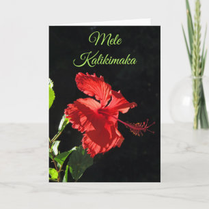 Mele Kalikimaka Karte