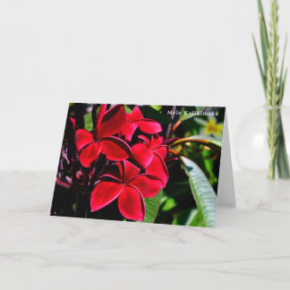 Mele Kalikimaka Plumeria Feiertagskarte