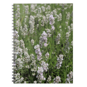 Melissa Lavender Notizbuch Notizblock