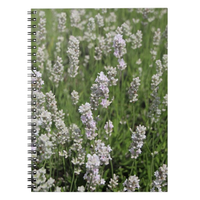 Melissa Lavender Notizbuch Notizblock (Vorderseite)
