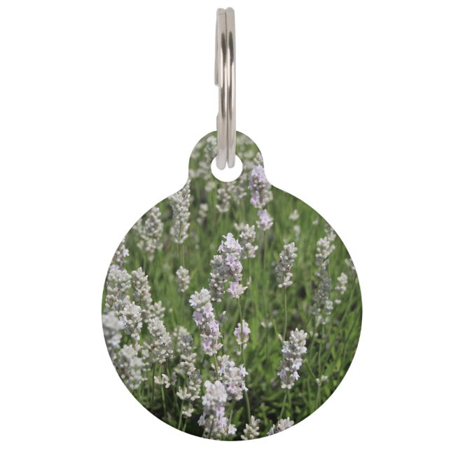 Melissa Lavender Pet Tag Haustiermarke (Vorderseite)