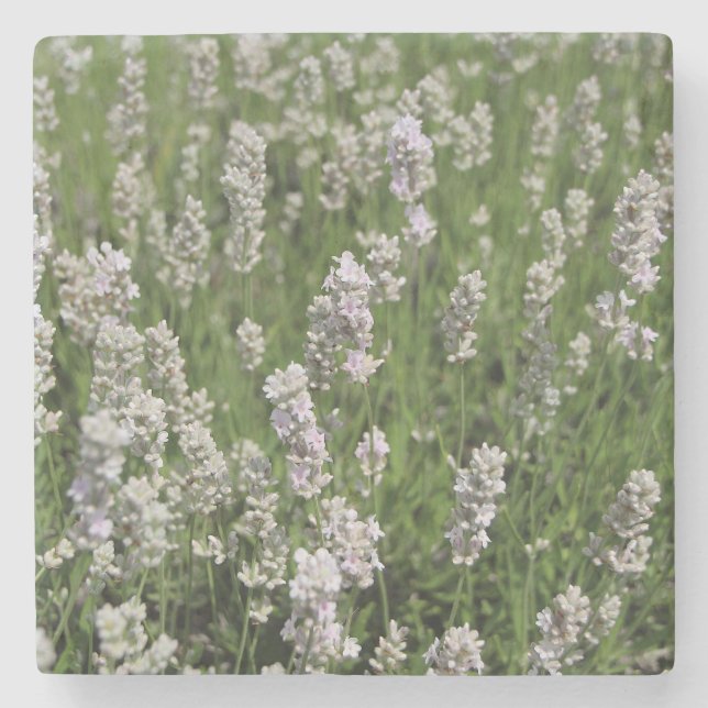 Melissa Lavender Steinuntersetzer (Vorderseite)