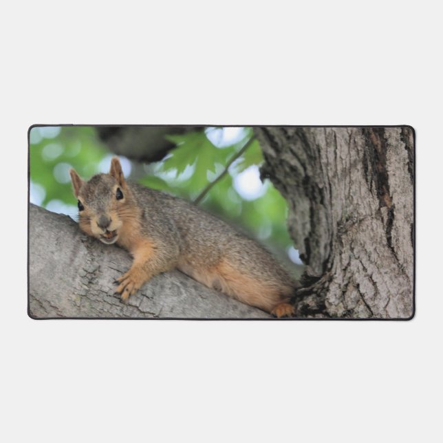 Mellow Fellow (Recto)