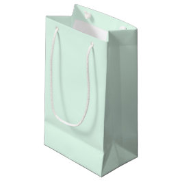 Mellow Mint Gift Bag Kleine Geschenktüte