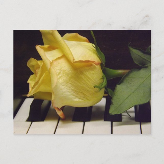 Melodie einer Rose-Postkarte Postkarte (Vorderseite)