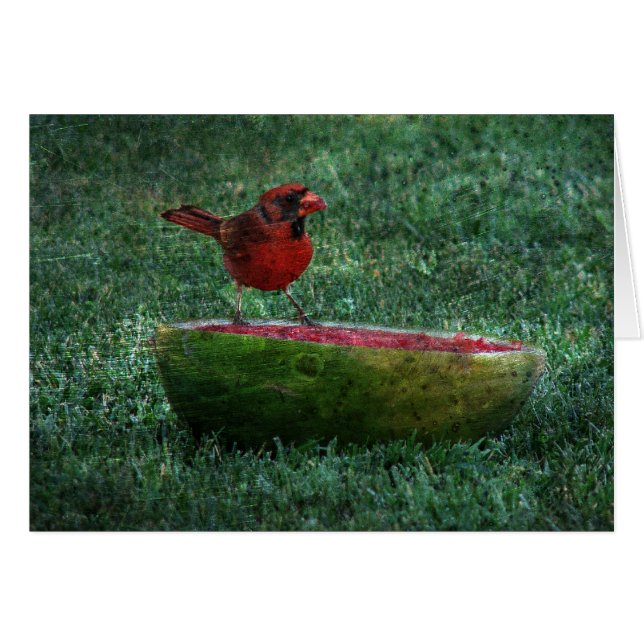 Melon Leckereien (Vorderseite (Horizontal))