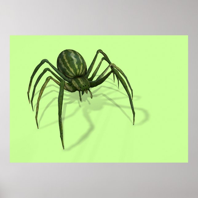 Melon Spider Poster (Vorne)