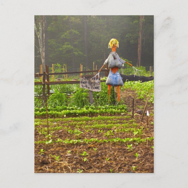 Melonen Postkarte (Vorderseite)