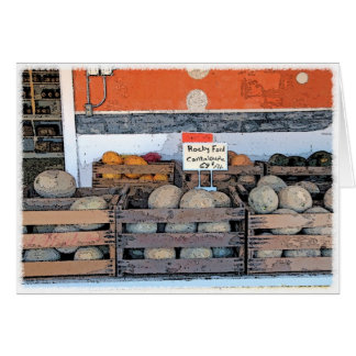 Melons rocheux de Ford