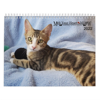 Melt your Heart - MEOW 2022 Kätzchen Kalender