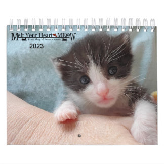 Melt Your Heart - MEOW 2023 Kitten Calendar Kalender