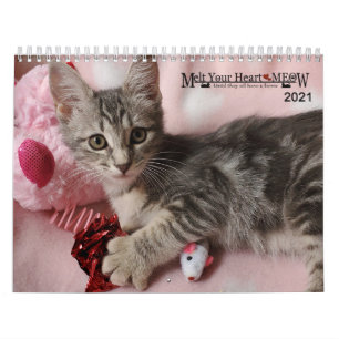Melt your Herz - MEOW 2021 Kitten Kalender
