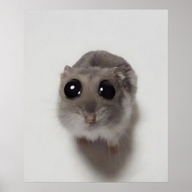 Mem, Hamster, Hamster Mem, trauriger Hamster, lust Poster (Vorne)