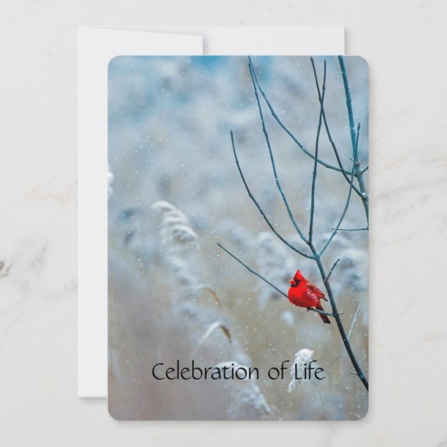 Memberservice laden Kardinal Red Bird ein Einladung (Vorderseite)