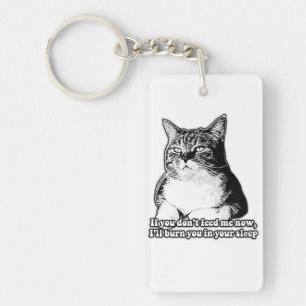 Mème de chat grincheux pour les amoureux de les ch