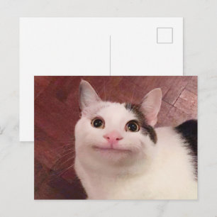 Mème de chat poli sur carte postale