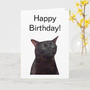 Mème de chat Zoned Out de carte pliée