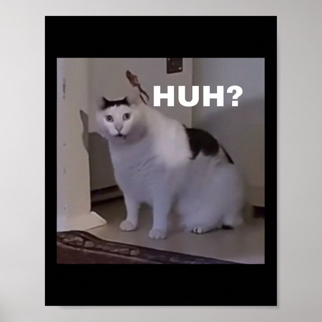 Meme Huh Cat Poster (Vorne)