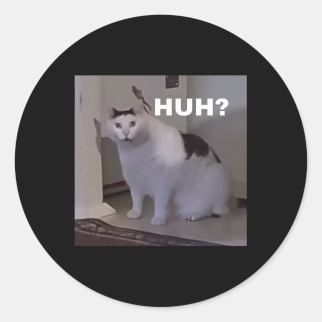 Meme Huh Cat Runder Aufkleber (Vorderseite)