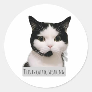 Meme-Katze Runder Aufkleber