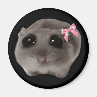 Mème Magnet Coquette Sad Hamster