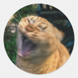 Memekatze Runder Aufkleber