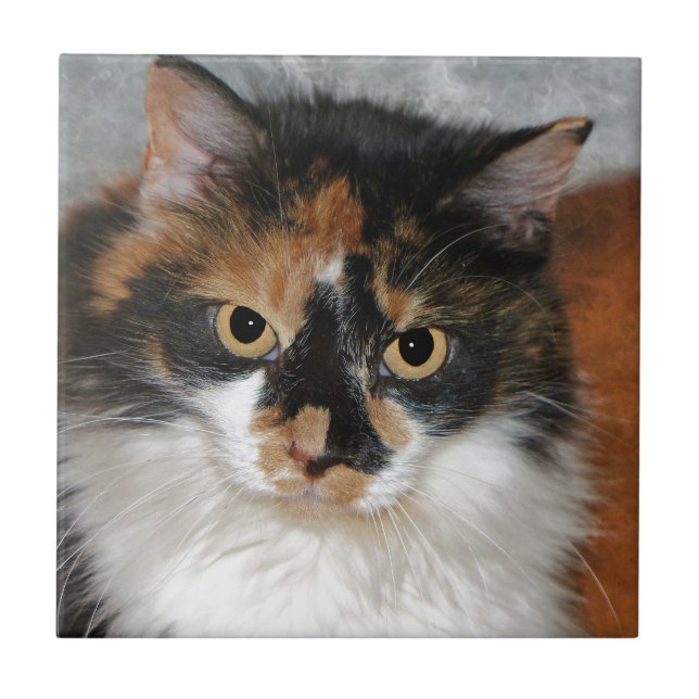 MeMeow Fliese (Vorderseite)