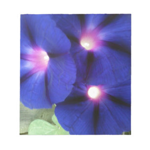 Memo zur Blume des Morning Glory Notizblock