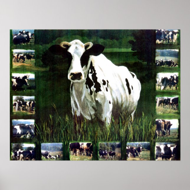 'meMOOries' Poster (Vorne)