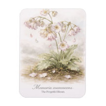 Memoria Evanescens – Die vergessliche Blüte Botani