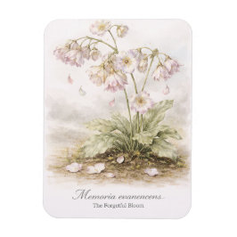 Memoria Evanescens – Die vergessliche Blüte Botani Magnet