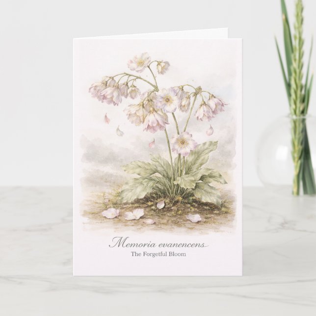 Memoria Evanescens – The Forgetful Bloom Botanical Karte (Vorderseite)