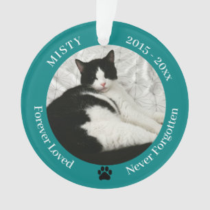 Mémorial aux chats pour toujours aimé animal de co